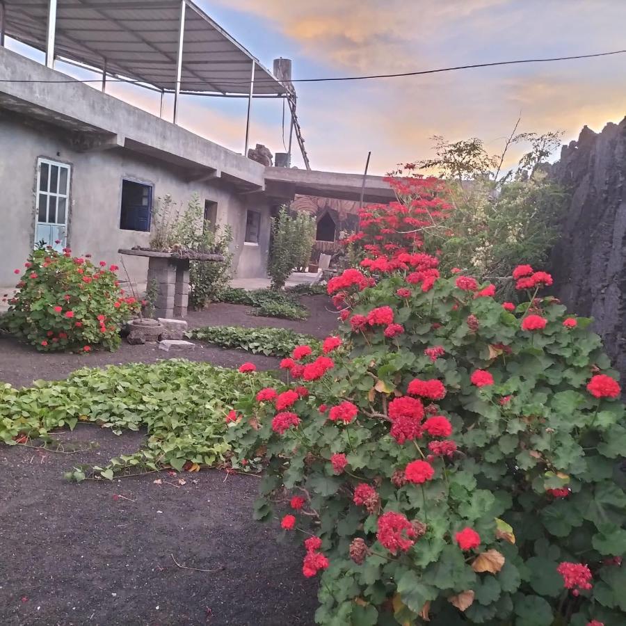 Bed and Breakfast Pensao Repouso Alegre Turismo E Aventura Portela Экстерьер фото